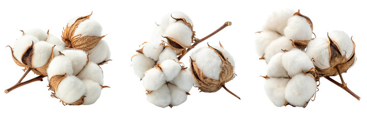 Set of a group of Fluffy cotton balls isolated on a transparent background.