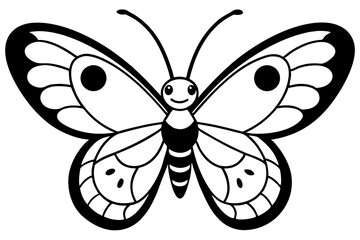 butterfly on white background