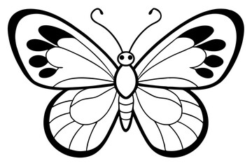 butterfly on white background