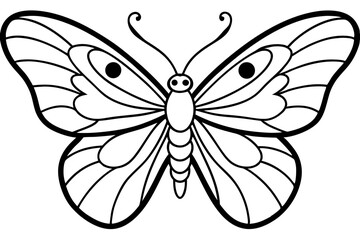 butterfly on white background