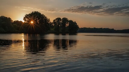 Solitary tree standing in calm water at sunrise with reflection