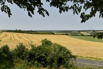 Fototapeta premium Lignes dans un champ de blé après moisson au pied de la colline du château médiéval à Villebois-Lavalette en Charente 