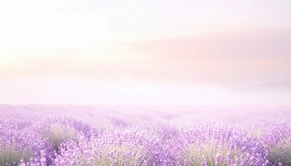 Serene lavender field in bloom countryside natural landscape tranquil environment panoramic view nature's beauty