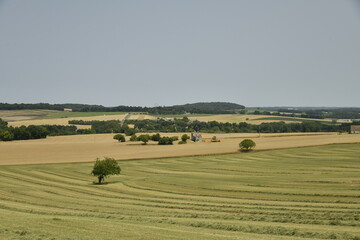 Paysage rural en plein été aux environs de Villebois-Lavalette en Charente 