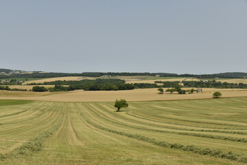 Paysage rural en plein été aux environs de Villebois-Lavalette en Charente 