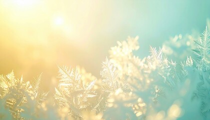 Soft light reflections on delicate ferns nature photography tranquil environment close-up view serenity concept