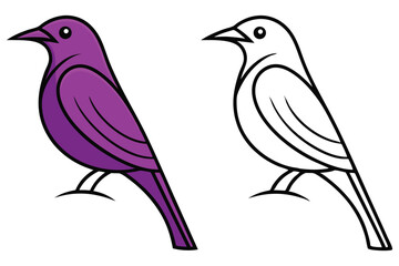 Isolated purple bird and line art bird stand side by side against a transparent background