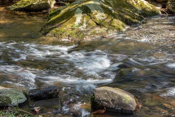willard brook  flowing through the wilderness