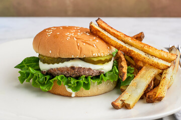 hamburger  served with french fries