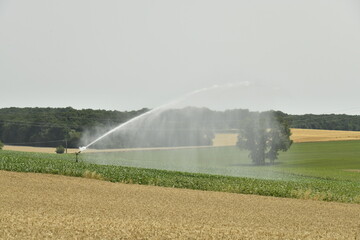 Arrosage d'un champ de maïs près de Villebois-Lavalette en Charente 