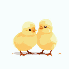 two cute little chicken on white