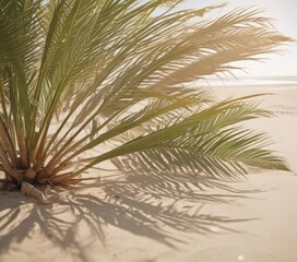 Obraz premium Palm fronds sway, sun-drenched sand, faded film effect, soft light, retro, glow