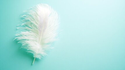 Delicate feather on a calming turquoise background with generous copy space