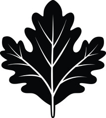 oak leaf vector silhouette and illustration