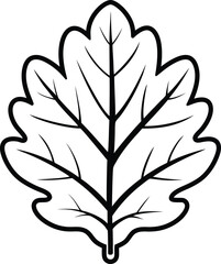 oak leaf vector line art and illustration