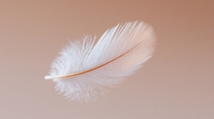 Obraz premium solitary floating feather against soft neutral background symbolizes hidden lightness and surrender