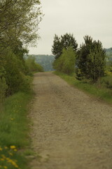 road in the forest