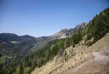 Fototapeta premium Swiss mountain. Hiking in Caux