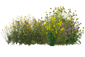 Diverse collection of isolated flowers grasses bushes and small plants in shrub form