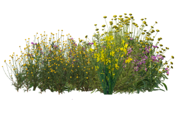 Diverse collection of isolated flowers grasses bushes and small plants in shrub form
