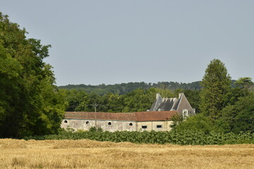 Champ de blé près d'une ferme-château aux environs du bourg de Champagne au Périgord Vert  © Photocolorsteph
