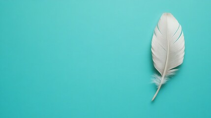 Graceful simplicity: single white feather on soft turquoise background design