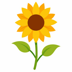 Sunflower vactor illustration