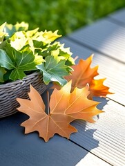 Sunlit autumn scene with vibrant foliage.  A wicker basket holds lush green and yellow plants, while two orange-brown maple leaves rest on a gray deck