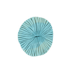 png drawing of sea ocean voyage blue sponge coral