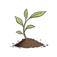 plant in the soil