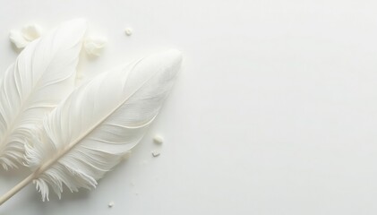 Obraz premium Close-up shot of pristine white feathers on white backdrop, pure, abstract, beauty