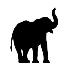 Fototapeta premium Elephant silhouette raising trunk on white background