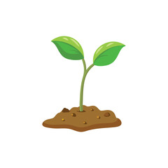 young plant growing from the ground