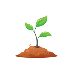 young plant growing from the ground