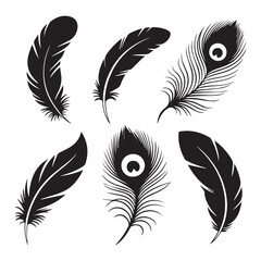 Obraz premium Bird feather icon set. vector illustration isolated on white background
