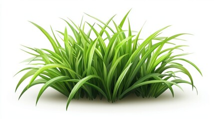 Fototapeta premium Green Grass Isolated White Background With Gradient Mesh, Vector Illustration.