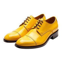 Pair of Dress Shoes on Transparent Background