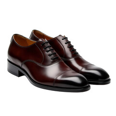 Pair of Dress Shoes on Transparent Background