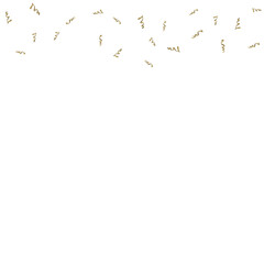 Confetti Tape Explosion Shape Decoration