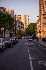 Fototapeta premium A peaceful, quiet residential street featuring beautiful urban architecture as dusk settles in Belgrave Road - London