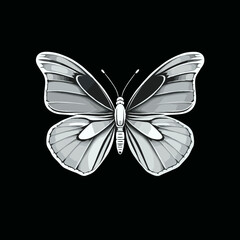 white crystal glass butterfly on black background