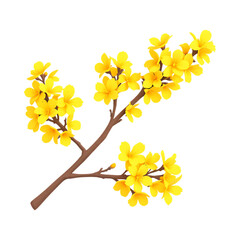 Branch of yellow flowers, spring blossom