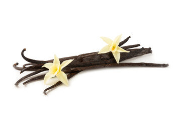 Vanilla pods isolated on white background. Vanilla flowers and seeds. vanilla stick bean. Aromatic...