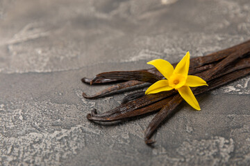 Vanilla pods on a textured background. Vanilla flowers and seeds. vanilla stick bean. Aromatic spicy spice for pastries and desserts. Seasoning. Space for text. Copy Space