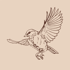 Titmouse. Flying bird. Hand drawn vector illustration.
