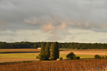 Paysage rural au soir après un orage près du bourg de Champagne au Périgord Vert  © Photocolorsteph