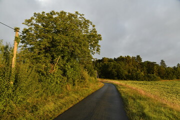 Route de campagne sous un ciel d'orage et la lumière du coucher de soleil au bourg de Champagne au Périgord Vert  © Photocolorsteph