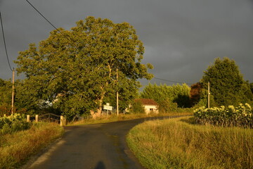 Route de campagne sous un ciel d'orage et la lumière du coucher de soleil au bourg de Champagne au Périgord Vert  © Photocolorsteph