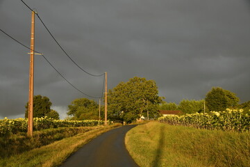 Route de campagne sous un ciel d'orage et la lumière du coucher de soleil au bourg de Champagne au Périgord Vert  © Photocolorsteph