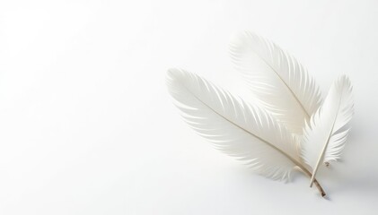 Naklejka premium Crisp white feathers against stark white background , style, wallpaper, white background